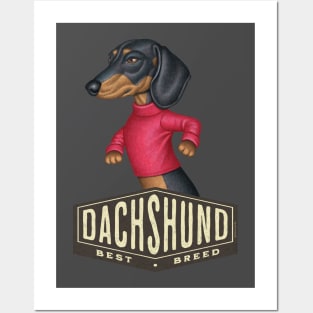 Black Dachshund Best Dog Hexagon Posters and Art